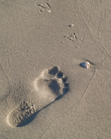 Footprint.jpg